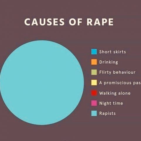 a pie chart showing the causes of rape. listed possibilities include short skirts, drinking, flirty behaviour, a promiscuous past, night time, and rapists. only the colour corresponding with "rapists" is used in the graph.